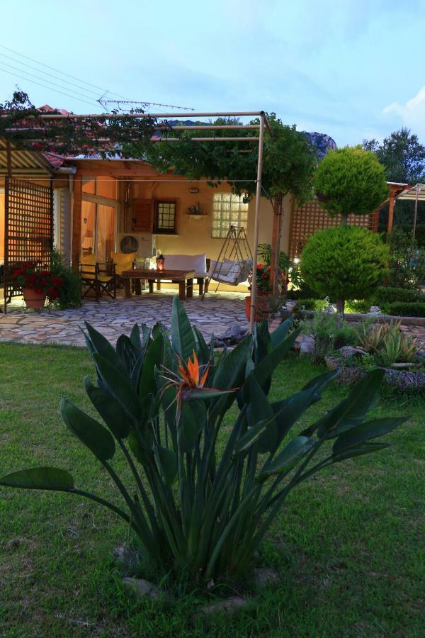 Olives House Villa Vromonéri Kültér fotó