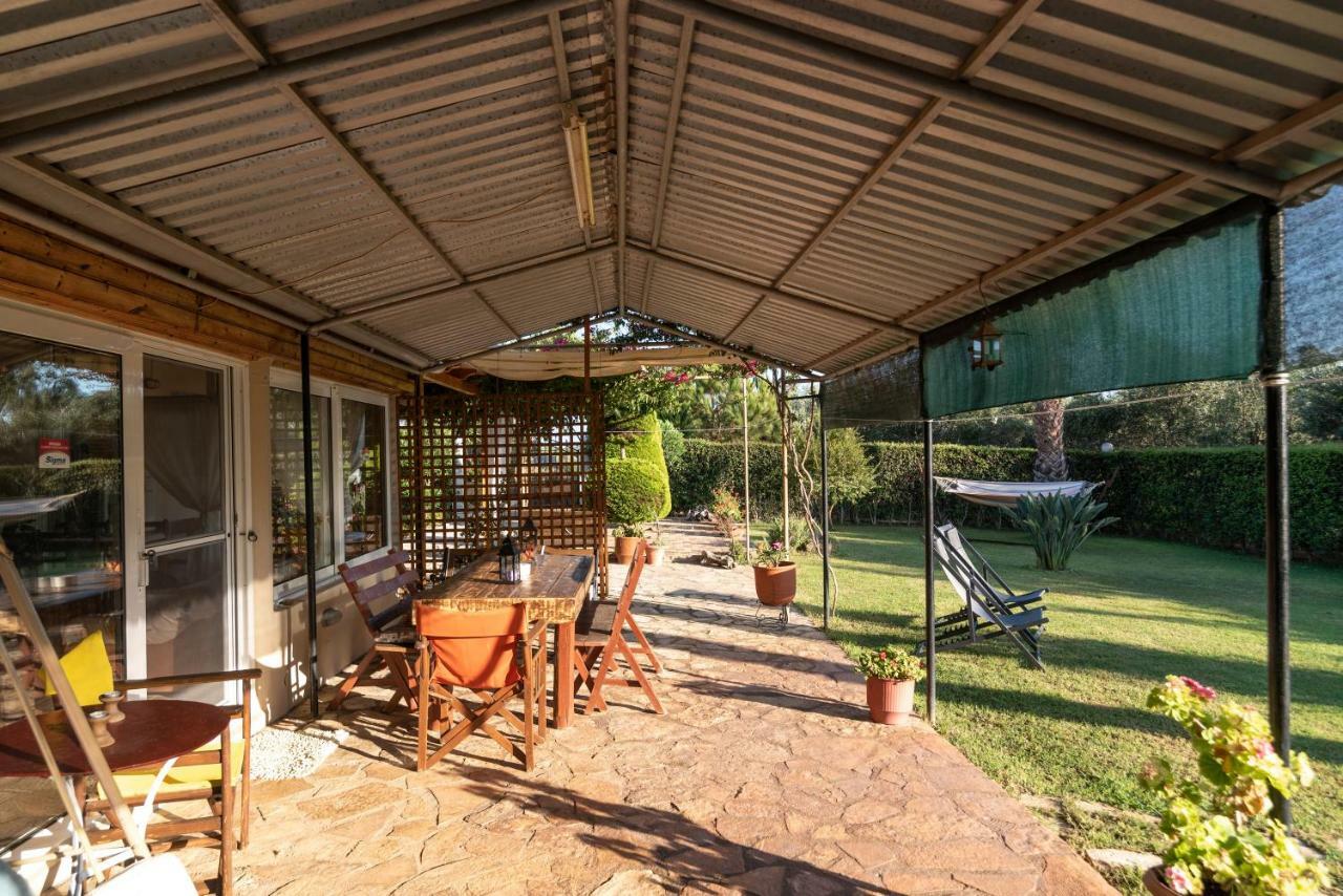 Olives House Villa Vromonéri Kültér fotó